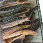 صادرات ماهیان خاویاری به باکو و ارمنستان